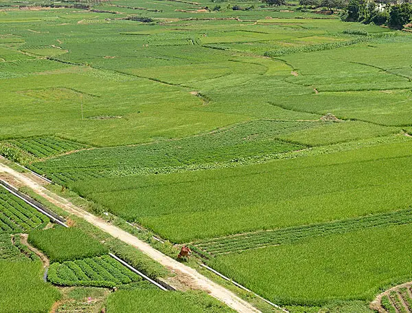 有機(jī)肥設(shè)備在生產(chǎn)中所帶來的經(jīng)濟(jì)價(jià)值